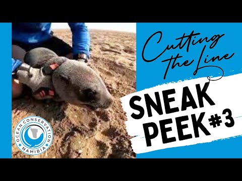 Cutting The Line - sneak peek #3