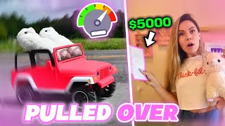 My CRAZY LLAMA Got A $5,000 TICKET !! | Unboxing NEW Series 5 Mini Brands !!