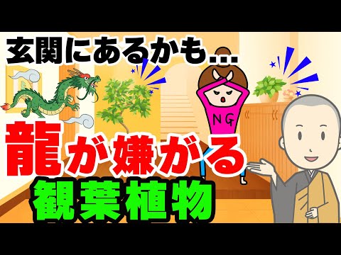 狭葉オリーブヤナギ 植物