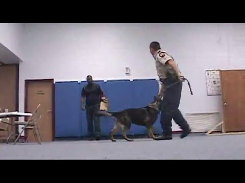 052710 MCSO GETS K-9 RANGER
