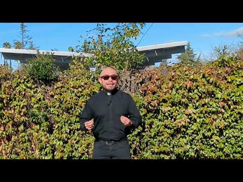 Homilies for Busy People: Purchased at a Price!!! Second Sunday Ordinary Time B: 1Cor 6:13c-15a17-20