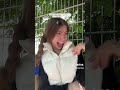 Quand Tu Ne Vois Pas Tes Potes Devant Le Collège Humour Pourtoi Foryou