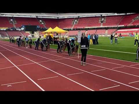 Progeny Group of Naldo Vierhundert Hertz