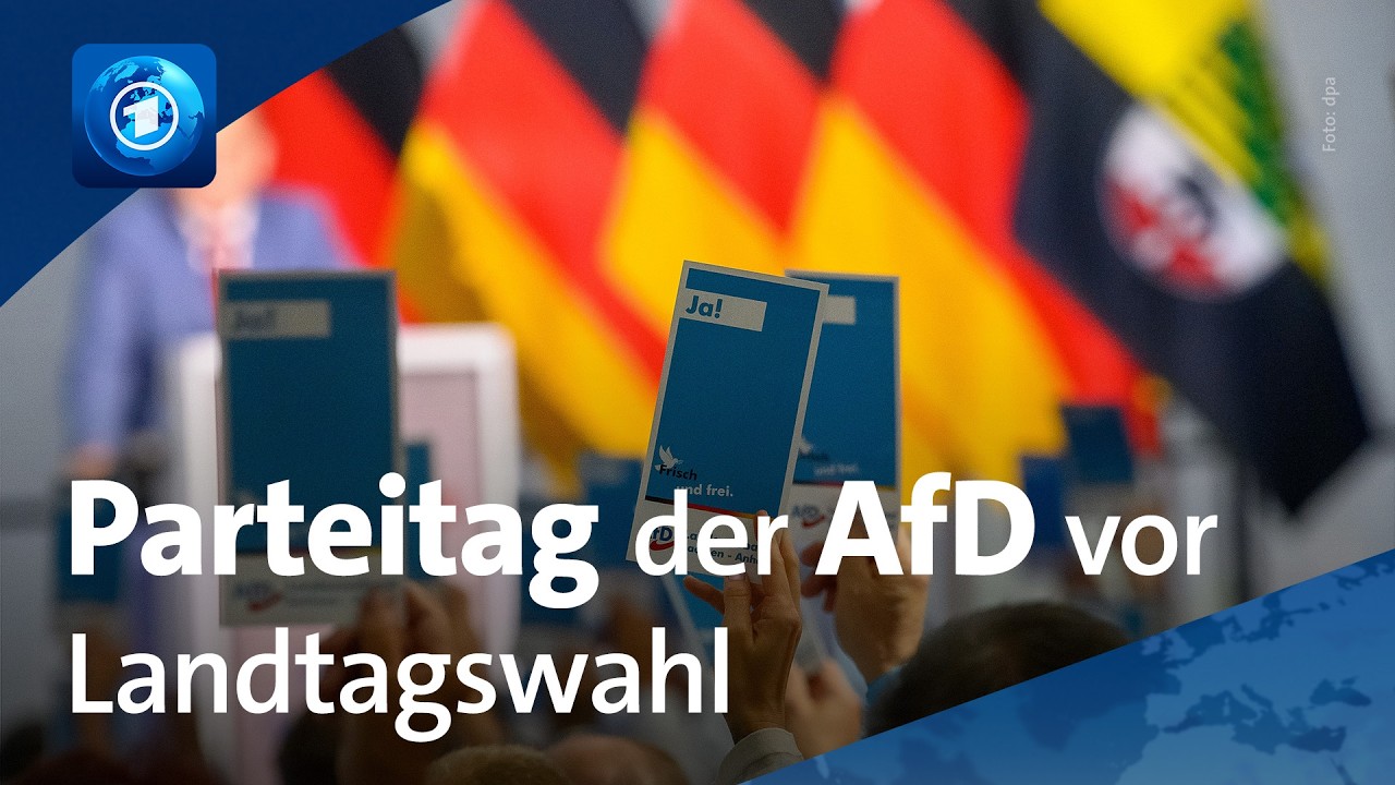 Sachsen-Anhalt: AfD stellt vor Landtagswahl 100-Tage-Programm vor