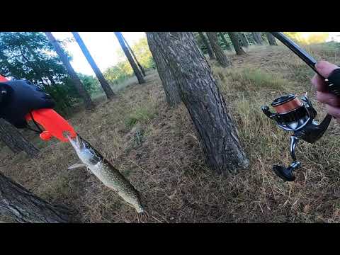 Azura X-Game X99M 2.99м 4-26г Precise Bomber TZ