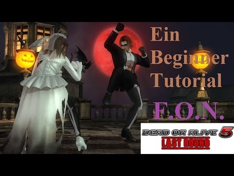 Ein Beginner Guide Tutorial (DOA5LR)