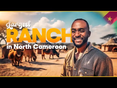 I visited the Largest Ranch in Cameroon - Ranch of Ngoundaba