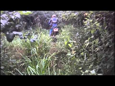 The Brilliant Easton lane to Easton Hill ORPA 03 08 2013