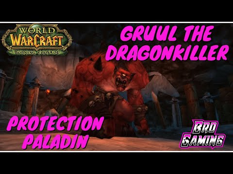 World of Warcraft: Burning Crusade Gruul the Dragonkiller Protection Paladin Main Tank Kill.