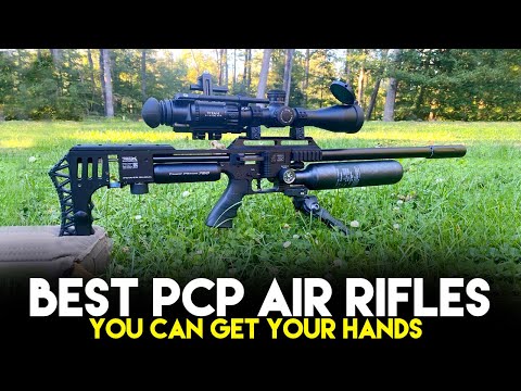 Top 10 Best PCP Air Rifles You Can Get Your Hands On In 2023