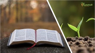 Download lagu Mastery Over Your Thoughts # Apostle Grace Lubega # Phaneroo Devotions mp3 Download lagu Mastery Over Your Thoughts # Apostle Grace Lubega # Phaneroo Devotions mp3