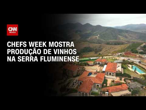 Produção de vinhos ganha força na Serra Fluminense; conheça | CNN PRIME TIME