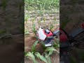 Small Gasoline Tiller Weeder Ditching Machine Cultivator