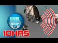 10HRS Ultrasonic Sound to Scare Rats Dogs Cats Mosquitoes Reptiles