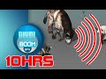 10HRS Ultrasonic Sound To Scare Rats Dogs Cats Mosquitoes Reptiles