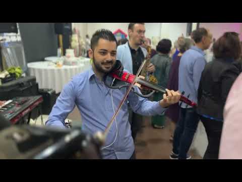 🤜🏻 MEŠANO KOLO 🤛🏻 Orkestar Gordana Tašića 🪗 Miloš Markaš🎻