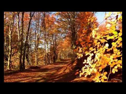 28.04.2021. M3. Snaga tišine - vlč. Ramos