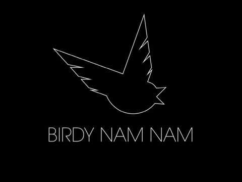 Birdy Nam Nam Live 2016 [FULL]