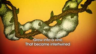 Passafire -  All In Our Minds