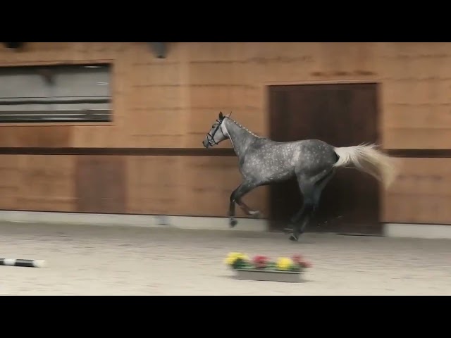 Gaits