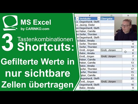 Shortcuts in Excel: gefilterte Werte in nur sichtbare Zellen übertragen oder ergänzen - carinko.com