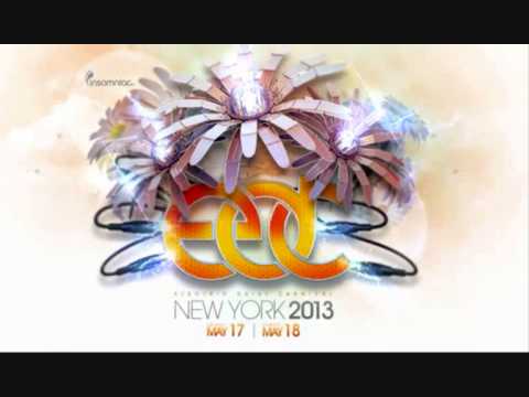 Gareth Emery - Live @ Electric Daisy Carnival (New York, 18.05.2013)