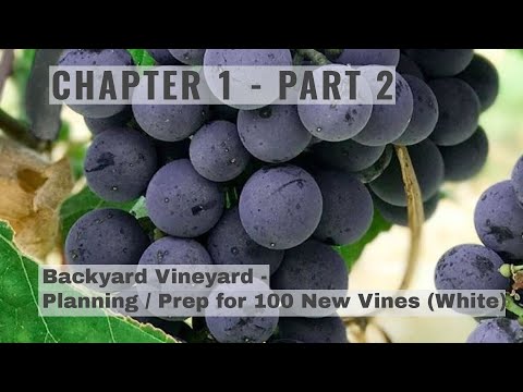 Chapter 1 - Part 2 - Backyard Vineyard Planning & Prep for Planting (100) New White Grape Vines