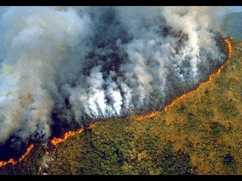 Amazon Rain Forest Lungs of Earth up in flames @ dangerous levels to Humanity & wildlife August 2019 Video