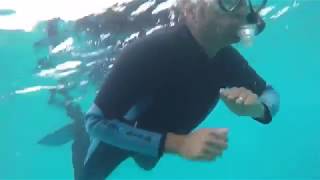 JHU Intersession Bermuda Program (Jan 2018)