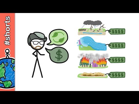 Quanto custa um desastre climático? #shorts
