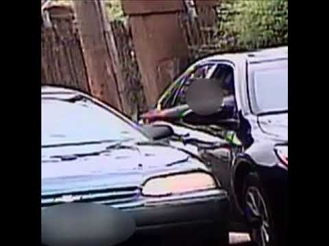 Split the Pros - Joe Pablo x Juicester x Marijuanaxo