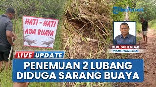 2 Lubang Sarang Buaya Muncul di Pantai Tanjung Rusa Belitung, Warga Mulai Resah