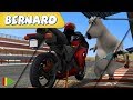 Bernard Bear Zusammenstellung Von Folgen Motorrad Fahren