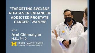 Newswise:Video Embedded study-demonstrates-a-novel-approach-to-target-enhancer-addicted-cancers