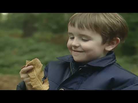 Teletubbies Series 11, Episode 3: Catching Leaves