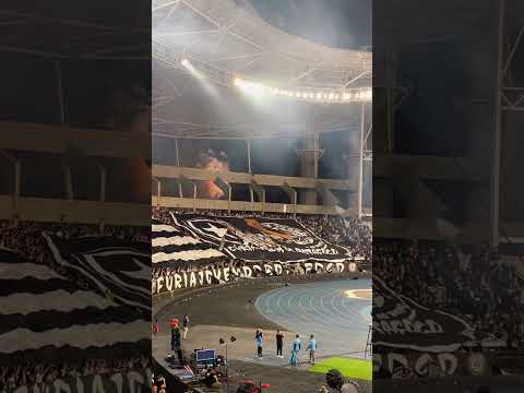 A torcida fez sua parte!! Furia jovem do Botafogo!!