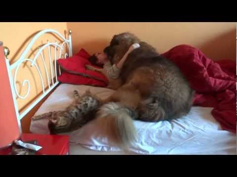 Wake up Chloé : it's time^^ (2nd part)