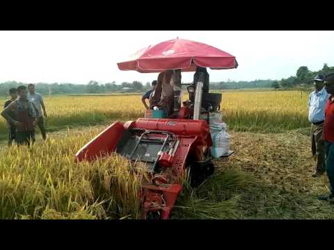 Mini combine harvester