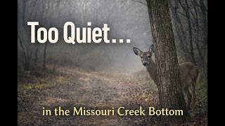 Too Quiet in the Missouri Creek Bottom