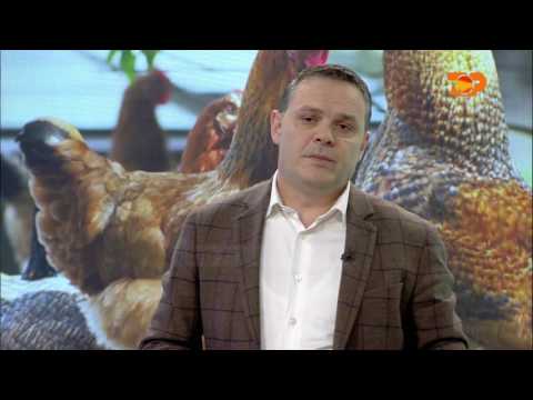 Ne Shtepine Tone, 21 Prill 2017, Pjesa 2 - Top Channel Albania - Entertainment Show