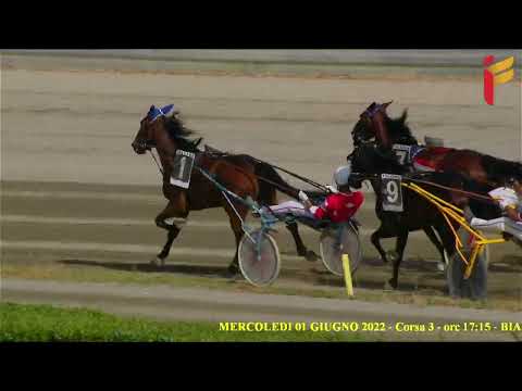 III Corsa del 1 Giugno 2022 - 3 Anni - Metri 2000/2020