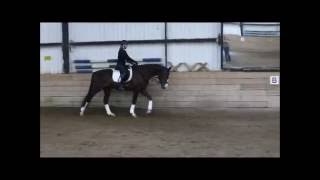 Video von For Joy 37