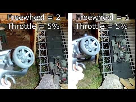 Spektrum firma 40 -  freewheeling short