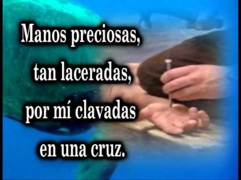 Himnario Adventista 095 Rostro divino