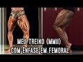 TREINO (MMII) COM ÊNFASE EM FEMORAL