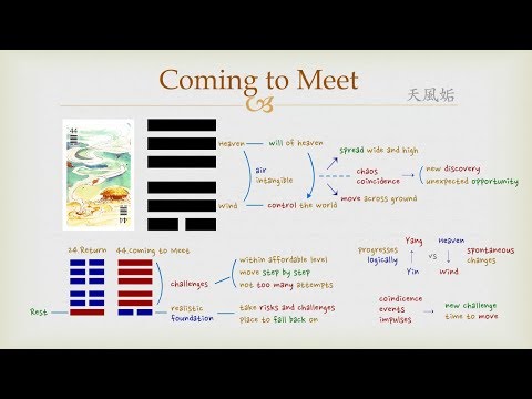 Goodie's I Ching - #44 Coming to Meet (Hexagram)