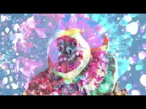 Oxidaksi   Thikhai Thikhai Visuals ByHipno