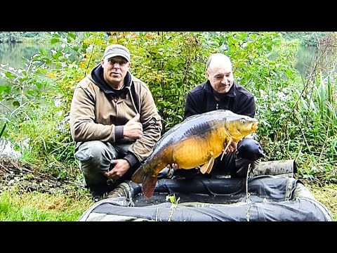 Karpfenangeln -Effektives Futter für Kurzsessions