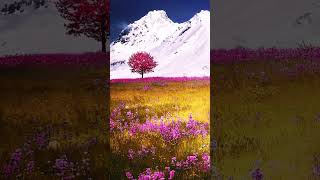 Download lagu クラシック音楽　ラフマニノフ mp3