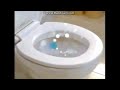 Scrubbing Bubbles Short Commercial 2009